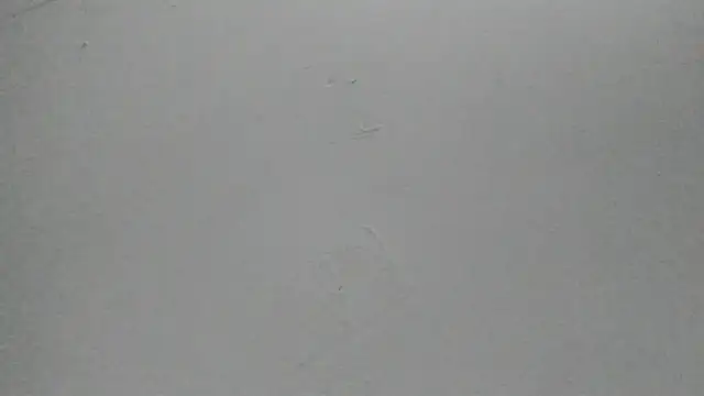 Sophia Ebony online show from 02.25.26