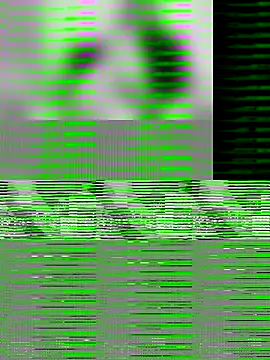 Paugrosso1764 online show from 11.19.25