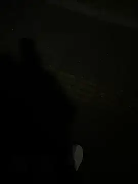 SL NIKI PUBLIC online show from 12.22.25