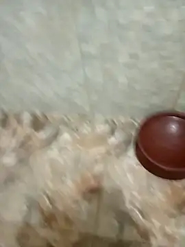 Alex Docinho online show from 02.03.26