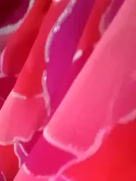 Snapshot of kittu0987 chatting on 02.09.26 kittu0987 online show from 02.09.26