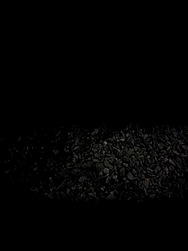 steelwoodVids online show from 11.19.25