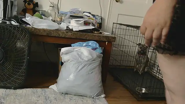Babygrldes online show from 04.24.26