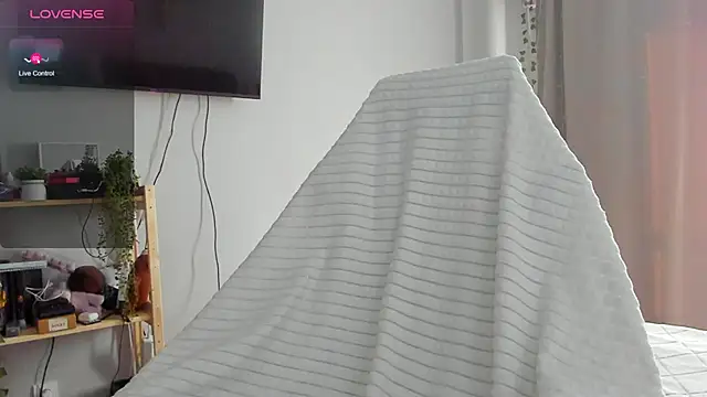 wwow meow online show from 02.13.26