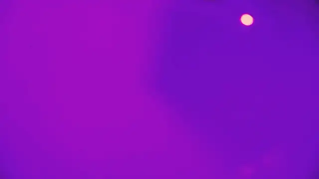 Snapshot of HeidiKendal chatting on 02.26.26 HeidiKendal online show from 02.26.26