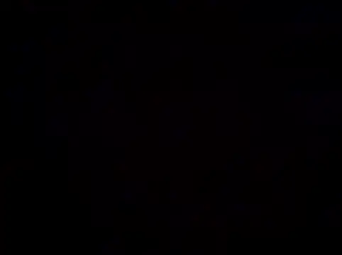 leakysushicat online show from 02.11.26