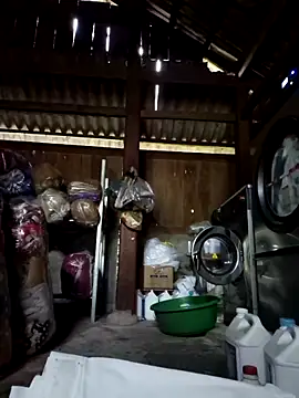 cincin 677 online show from 09.11.25