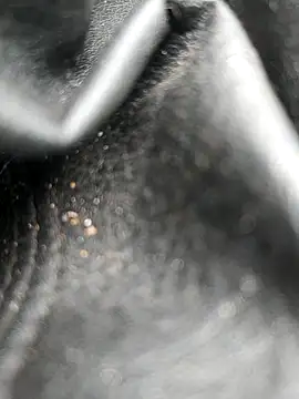 legaros online show from 10.19.25