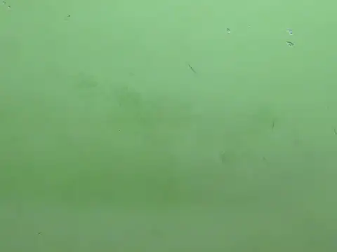 rockyy23boy online show from 10.15.25