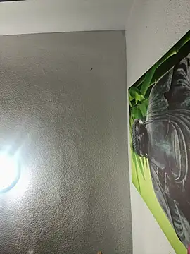 aavrdvh33 online show from 03.22.26