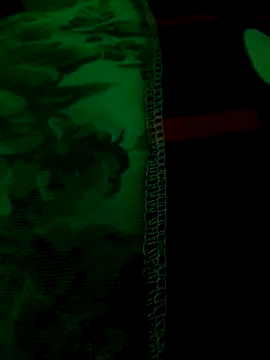 The-youngbigd online show from 04.26.26