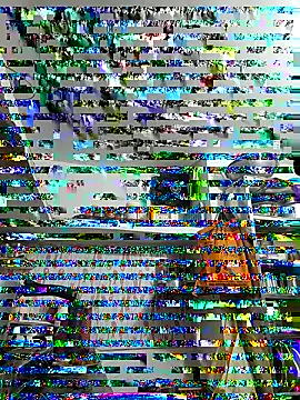 Snapshot of ISHANI-SINGH chatting on 11.29.25 ISHANI-SINGH online show from 11.29.25