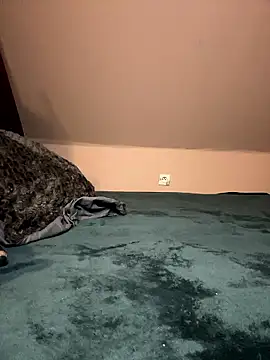 Xx2564 online show from 01.11.26