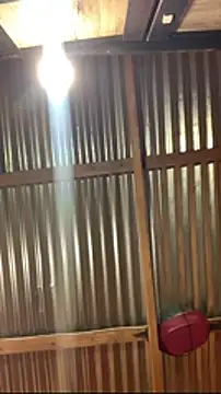 jabulani2600 online show from 01.06.26