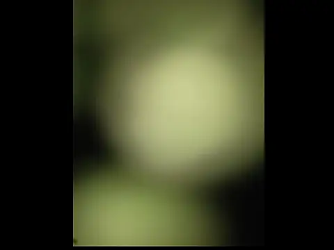 sobit1234 online show from 10.18.25