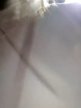 daisy will online show from 12.03.25