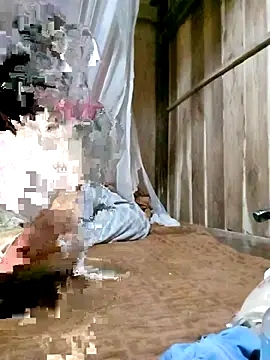 daisy will online show from 03.19.26