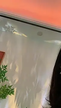 zhizhinaigai online show from 02.18.26