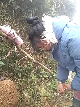 Chaotam1 online show from 02.03.26