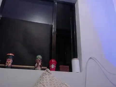 Snapshot of xalejo_max chatting on 11.14.25 xalejo max online show from 11.14.25