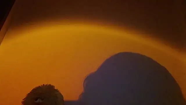 lia ana online show from 03.24.26