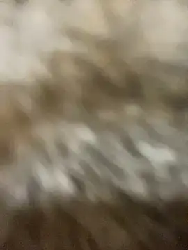 Sayhi xo online show from 09.27.25