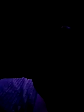 Thoma9034 online show from 10.23.25