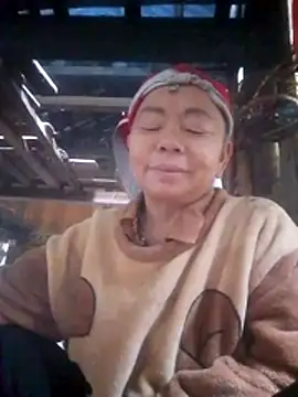 Snapshot of VangLe73 chatting on 11.21.25 VangLe73 online show from 11.21.25