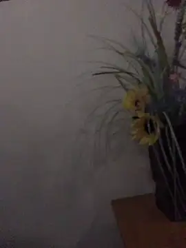 Snapshot of newjam chatting on 10.26.25 newjam online show from 10.26.25