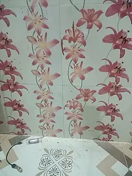 Snapshot of Meenaksi-singh chatting on 10.01.25 Meenaksi-singh online show from 10.01.25