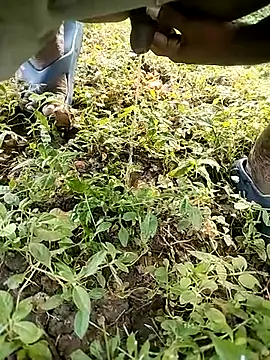 Snapshot of BlackhorseBBC chatting on 10.14.25 BlackhorseBBC online show from 10.14.25