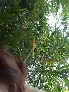 Snapshot of Bianly chatting on 03.14.26 Bianly online show from 03.14.26