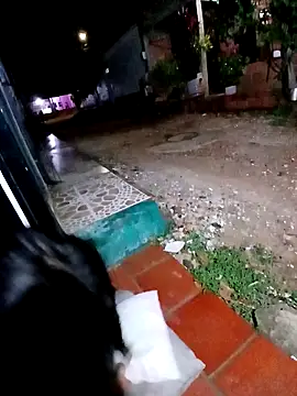 jeltsin3-25 online show from 02.24.26