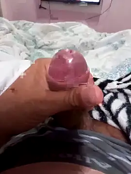 fepintudo online show from 05.29.26