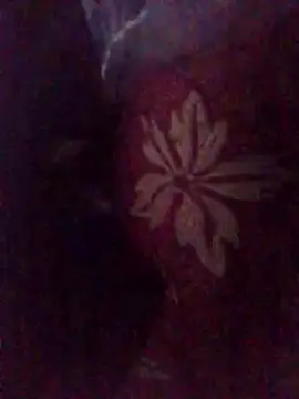 Amin Dz-20 online show from 01.07.26