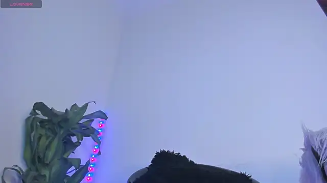 Lucy shen  online show from 11.07.25