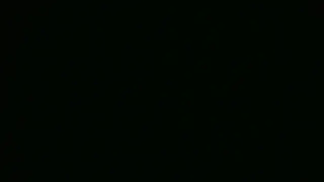 ch0wn m online show from 09.18.25
