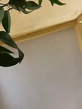 Snapshot of femboyslqueen chatting on 12.01.25 femboyslqueen online show from 12.01.25