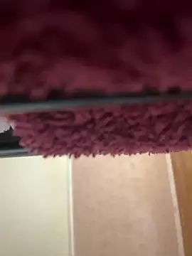 bb empress online show from 09.26.25