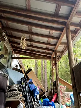 bb empress online show from 10.07.25