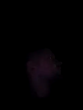 Snapshot of Mumuska chatting on 12.03.25 Mumuska online show from 12.03.25