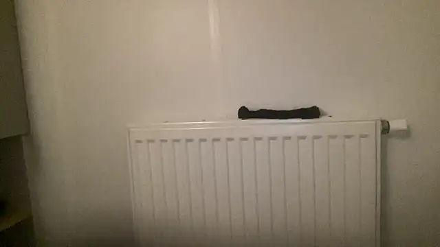 Snapshot of peterpapiNL chatting on 01.13.26 peterpapiNL online show from 01.13.26