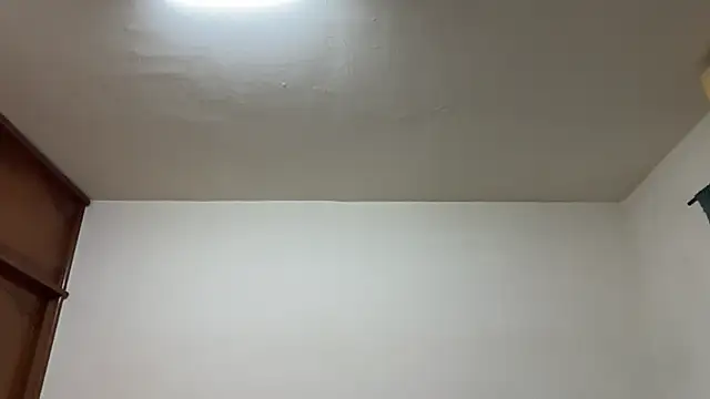 Foxfoxfox4 online show from 02.17.26