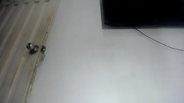 Foxy Lovex online show from 04.25.26