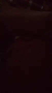 Snapshot of wanderboy1000 chatting on 01.19.26 wanderboy1000 online show from 01.19.26