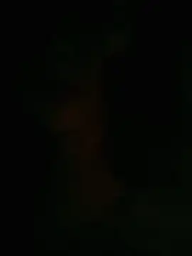 Snapshot of HellaWerlous chatting on 01.12.26 HellaWerlous online show from 01.12.26