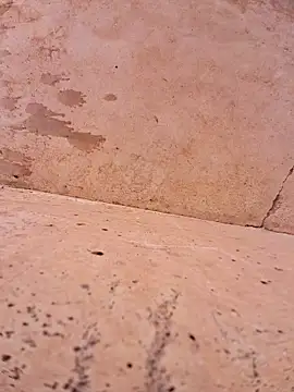 Negodabenga online show from 11.17.25