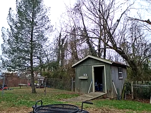 Snapshot of sloppytopkins chatting on 11.21.25 sloppytopkins online show from 11.21.25