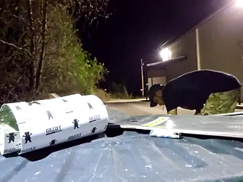 Snapshot of sloppytopkins chatting on 04.11.26 sloppytopkins online show from 04.11.26