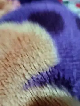 sana-5 online show from 03.15.26